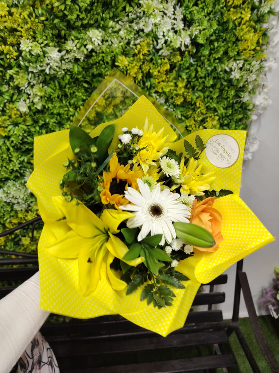 FA-06 Luz de Girasoles