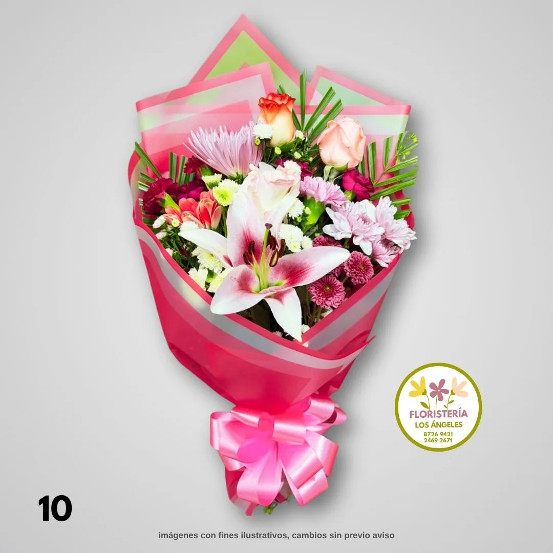 Cod 10  Elegancia Mixta